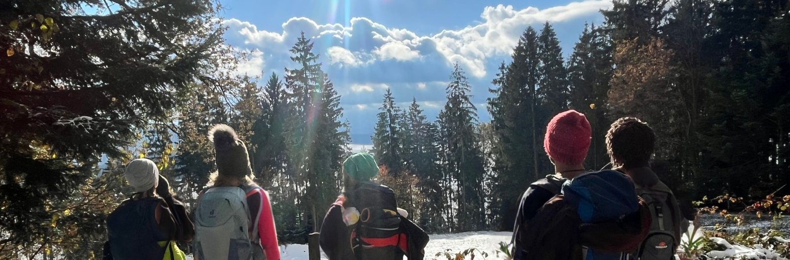 Gruppe mit Blick in die Weite