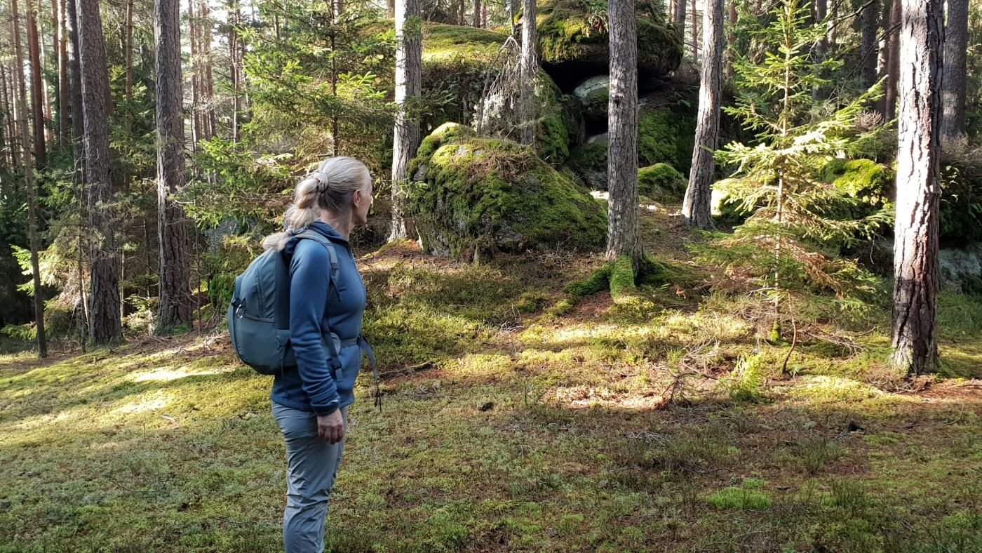 Wanderung durch den Wald